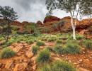 nt rugged outback