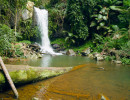 qld waterfall near mt tamborine