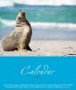 Desk Calendar 1
