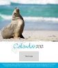 Desk Calendar 2