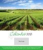 Desk Calendar 3