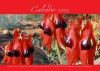 Wall Calendar 5