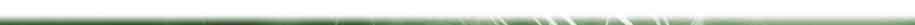 Digital-Banner_top