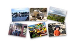digital phot print online pic 1