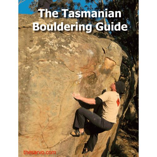 The_Tasmanian_Bo_49485bd58d090.gif
