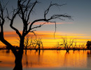 nsw lake pinaroo sturt national park