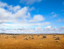 nsw plains western nsw