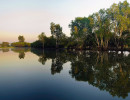 nt dusk at yellow water billabong