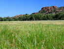 nt grasslands kakadu national park