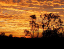 nt outback sunset