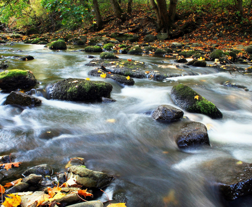 sa adelaide hills creek