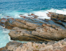 sa rocky coastline kangaroo is