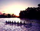 sa rowers at sunset on the torrens
