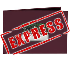 Express-maroon-12x8