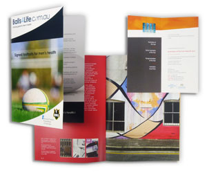 Brochure Printing Pic 1